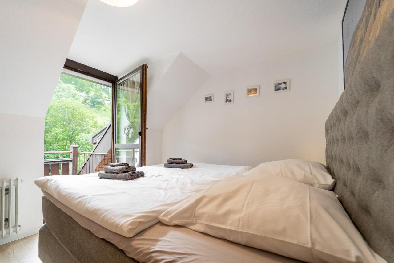 Winter-Nest Apartment Todtnau Bagian luar foto