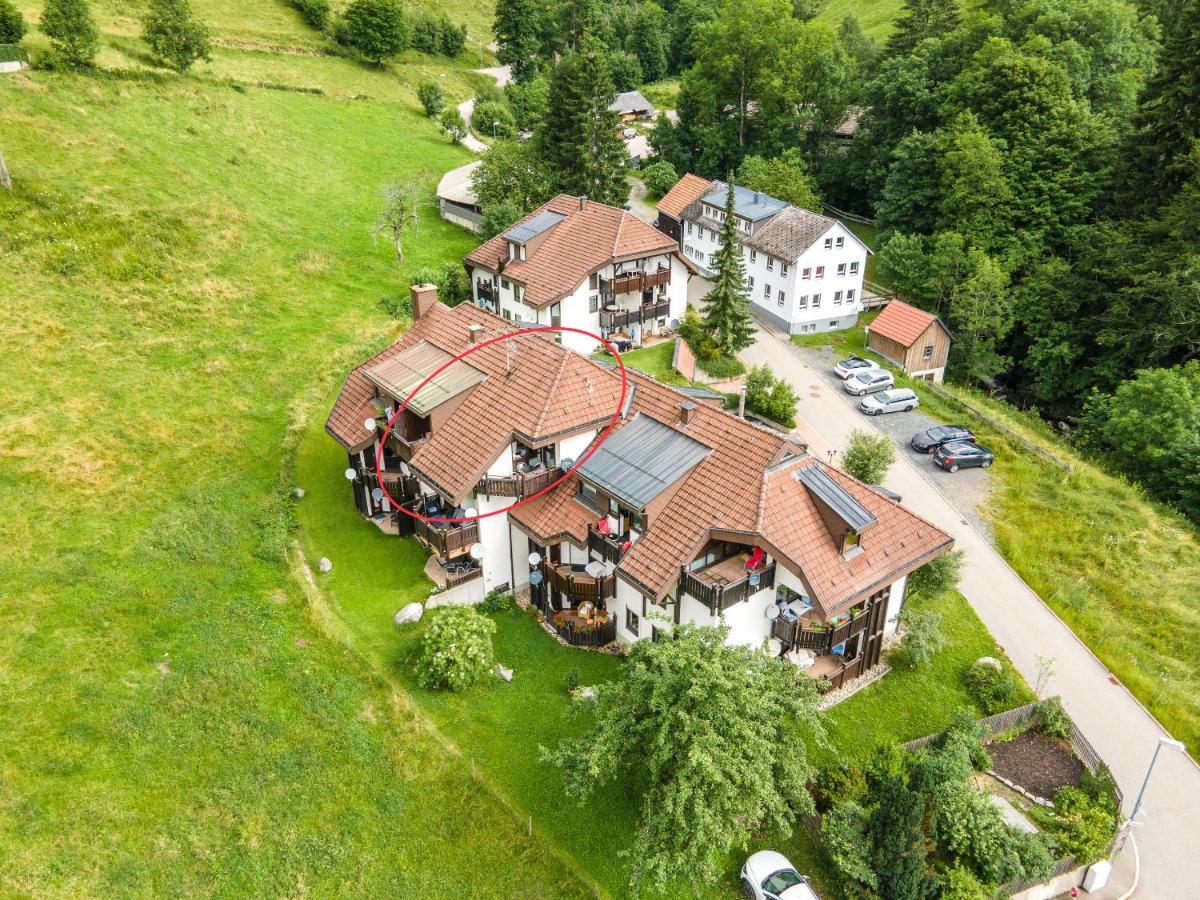 Winter-Nest Apartment Todtnau Bagian luar foto